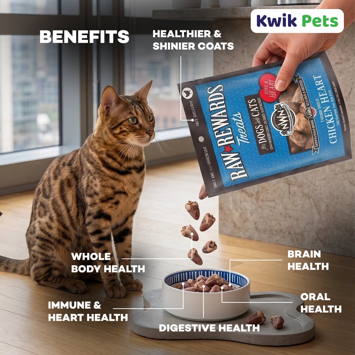 Benefits of Northwest Naturals Raw Rewards Freeze Dried Dog & Cat Treats Chicken Heart 10-oz
