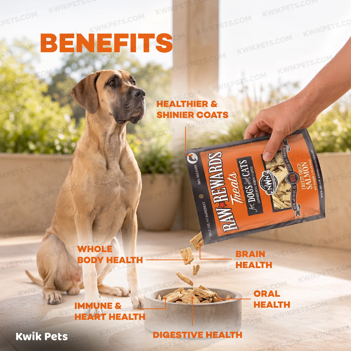 Benefits of Northwest Naturals Raw Rewards Freeze Dried Dog & Cat Treats Salmon 2.5-oz