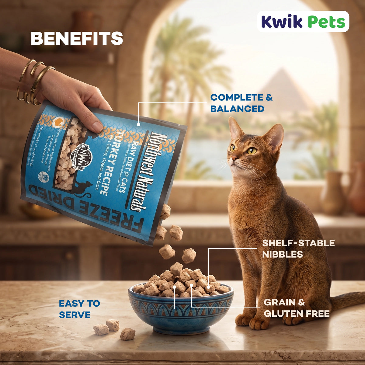 Benefits of Northwest Naturals Freeze Dried Raw Diet Cat Food Turkey Recipe 11-oz