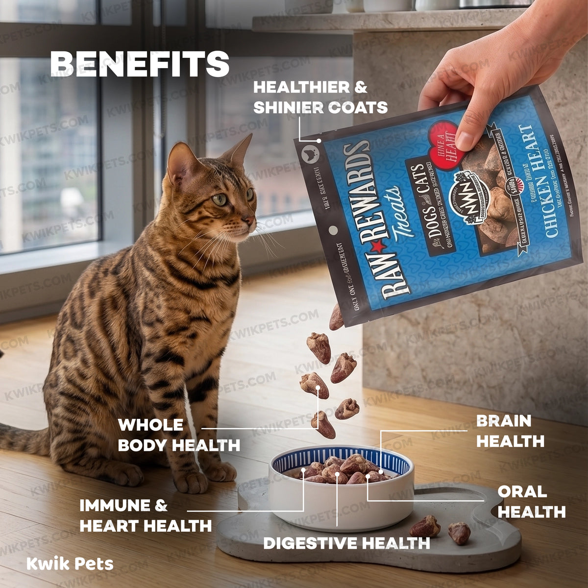 Benefits of Northwest Naturals Raw Rewards Freeze Dried Dog & Cat Treats Chicken Heart 10-oz