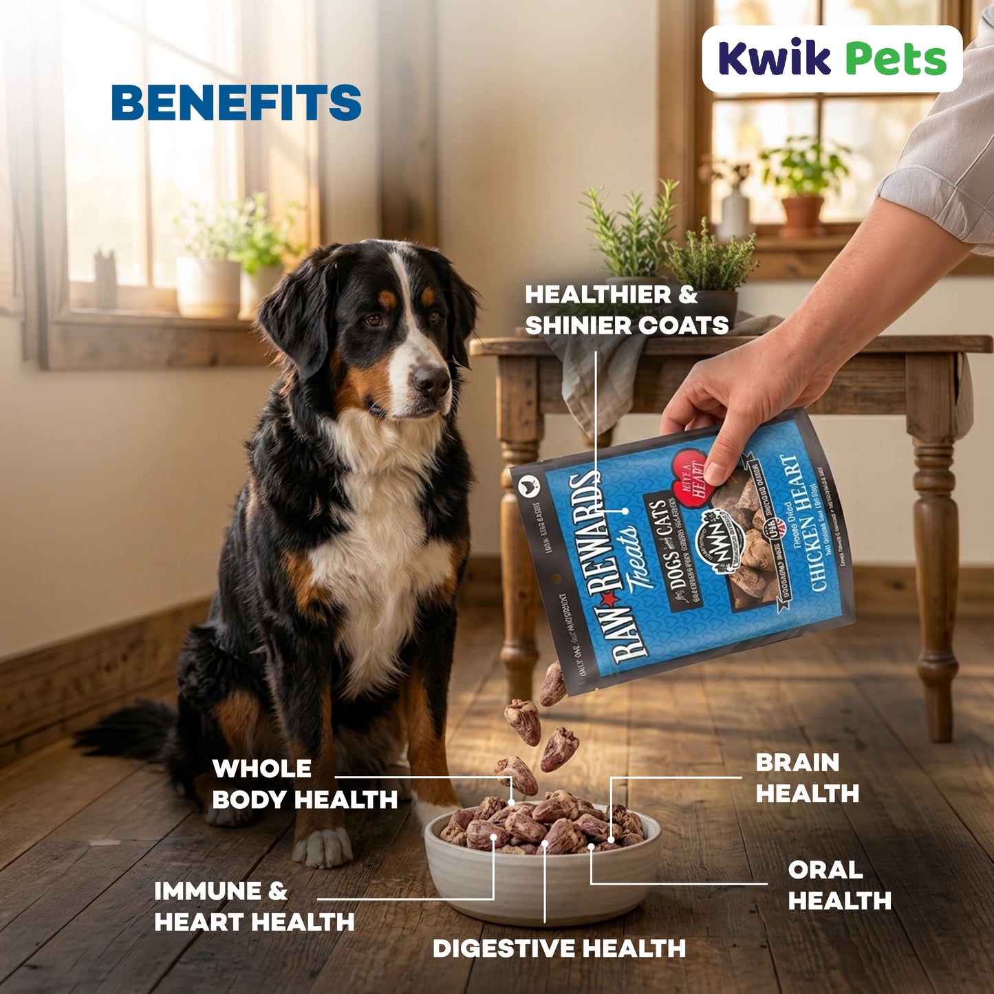Benefits of Northwest Naturals Raw Rewards Freeze Dried Dog & Cat Treats Chicken Heart 3-oz