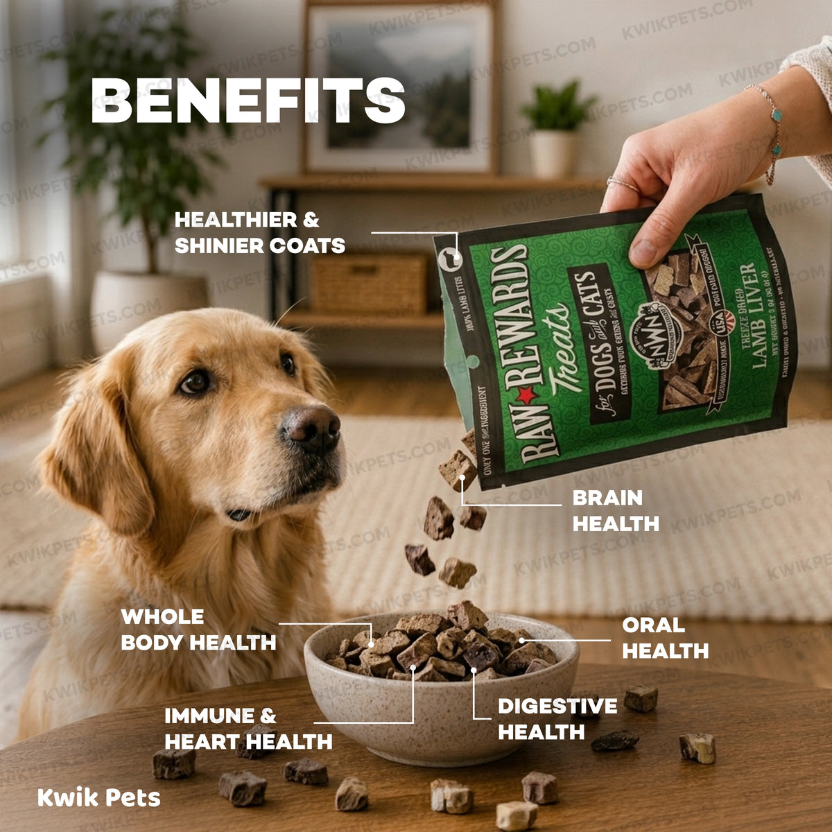 Benefits of Northwest Naturals Raw Rewards Freeze Dried Dog & Cat Treats Lamb Liver 3-oz