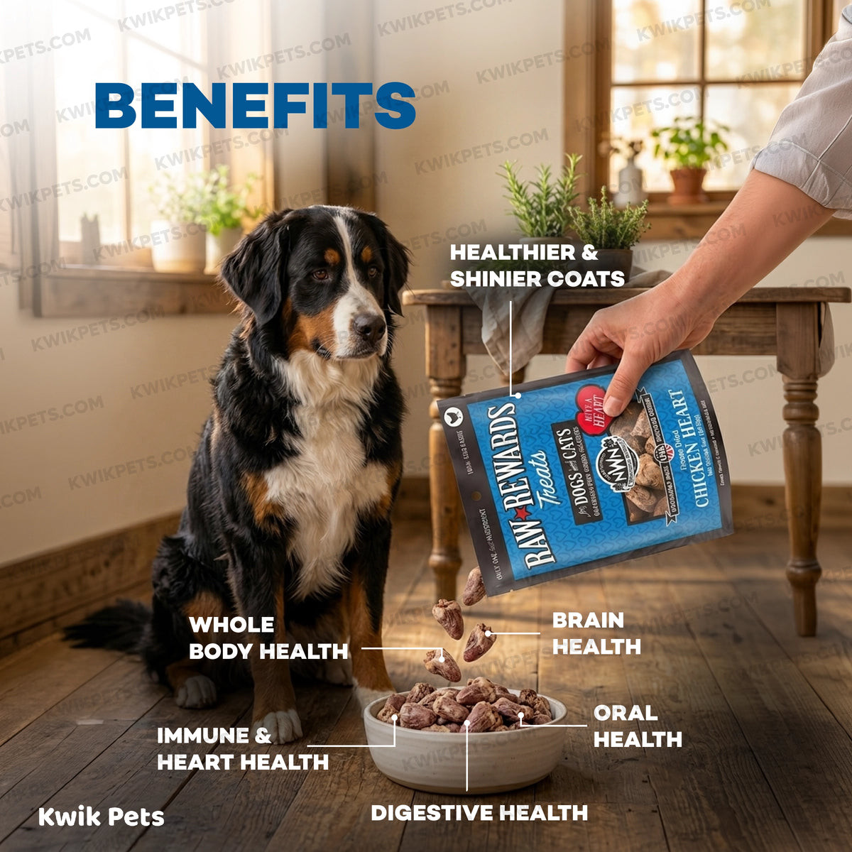 Benefits of Northwest Naturals Raw Rewards Freeze Dried Dog & Cat Treats Chicken Heart 3-oz