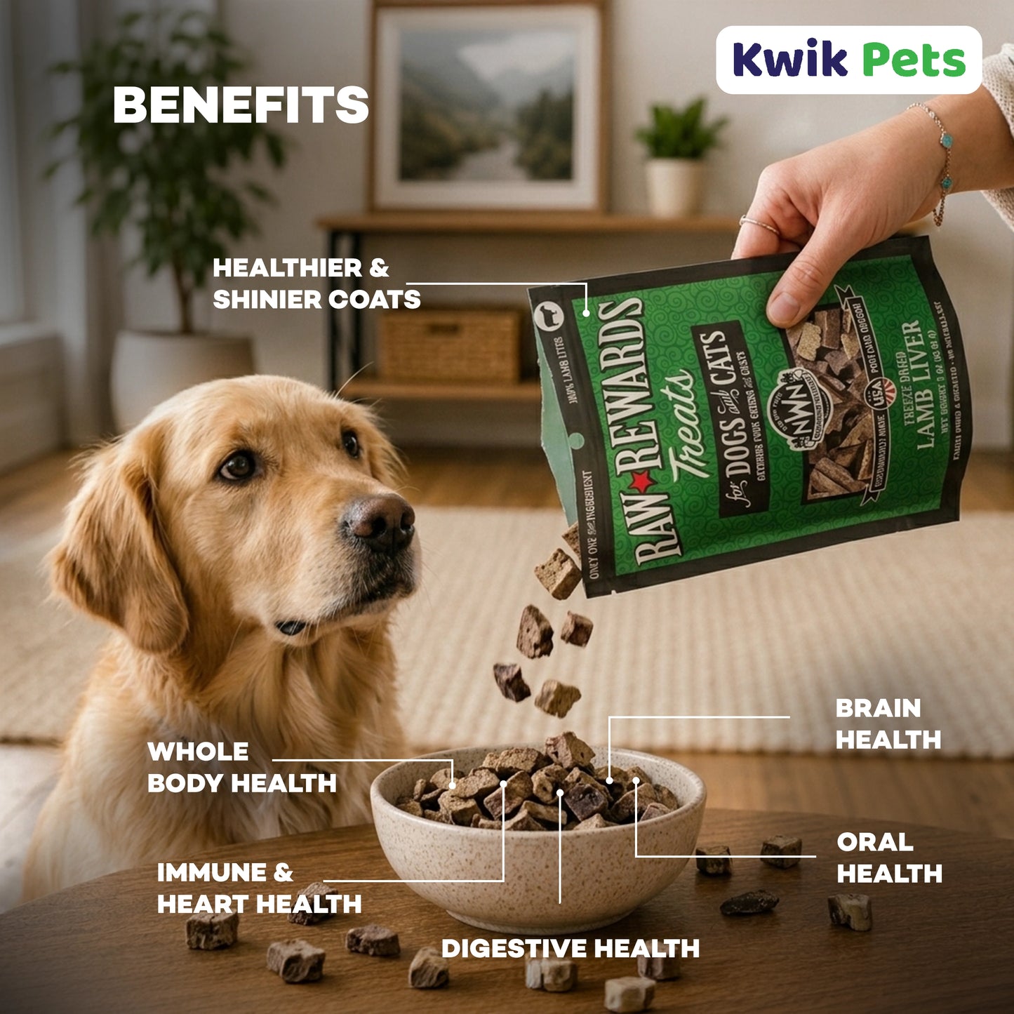 Benefits of Northwest Naturals Raw Rewards Freeze Dried Dog & Cat Treats Lamb Liver 3-oz