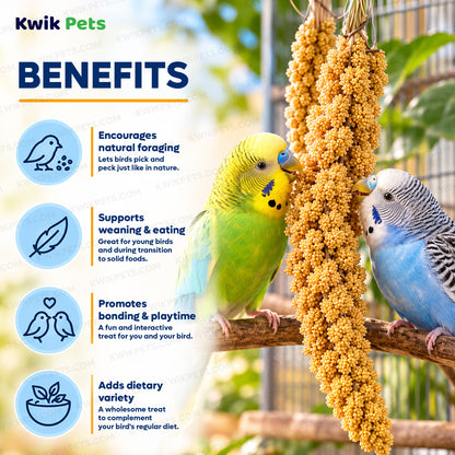 Benefits of Kaytee Natural Spray Millet Bird Treats 2 Pack