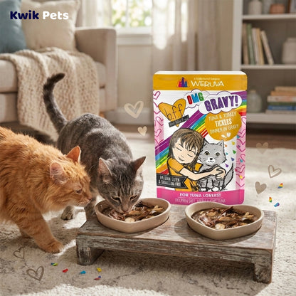Lifestyle of Weruva B.F.F. OMG Tuna & Turkey Tickles Dinner in Gravy Wet Cat Food Pouches 3-oz