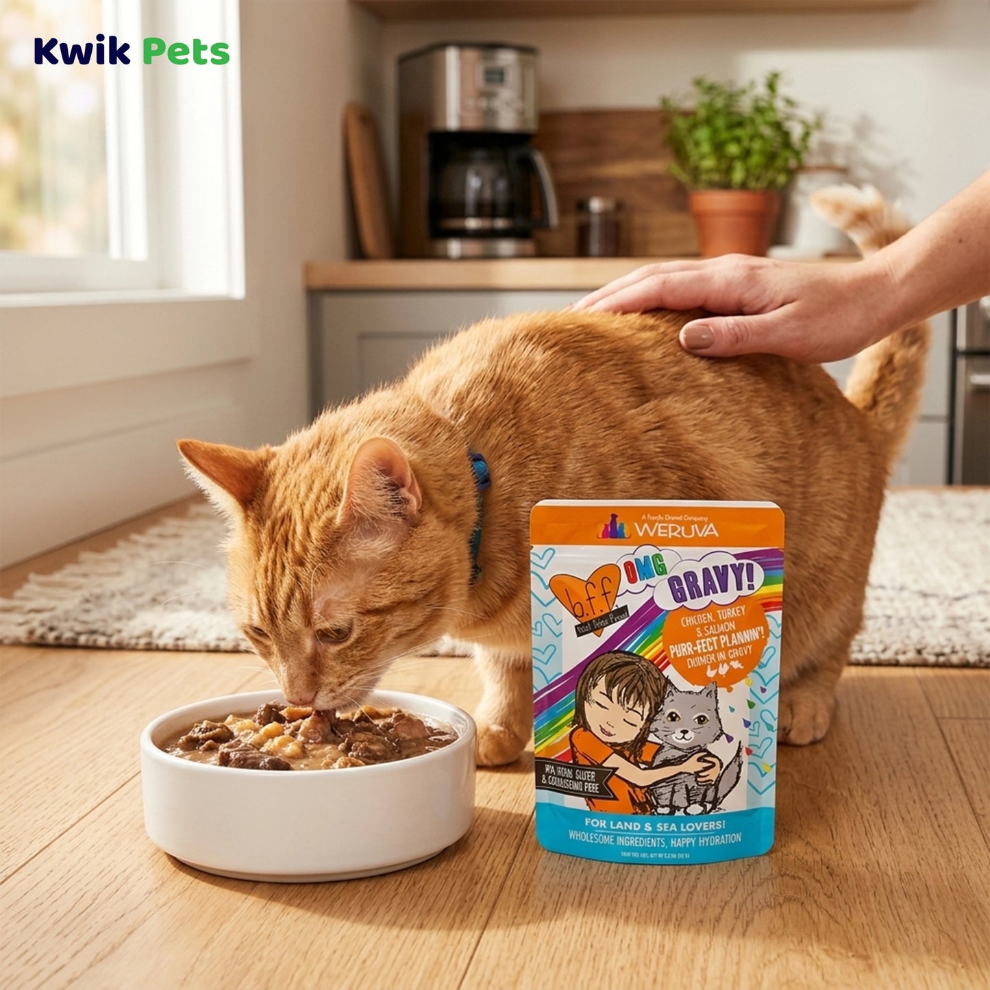 Lifestyle of Weruva B.F.F. OMG Chicken, Turkey & Salmon Purr-Fect Plannin'! Dinner in Gravy Wet Cat Food Pouches 2.8-oz