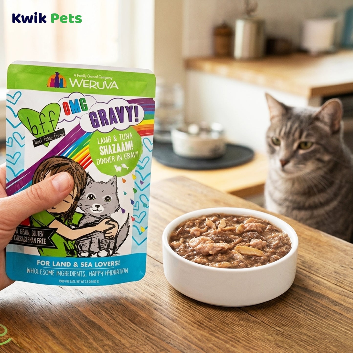 Lifestyle of Weruva B.F.F. OMG Lamb & Tuna Shazaam! Dinner in Gravy Wet Cat Food Pouches 2.8-oz