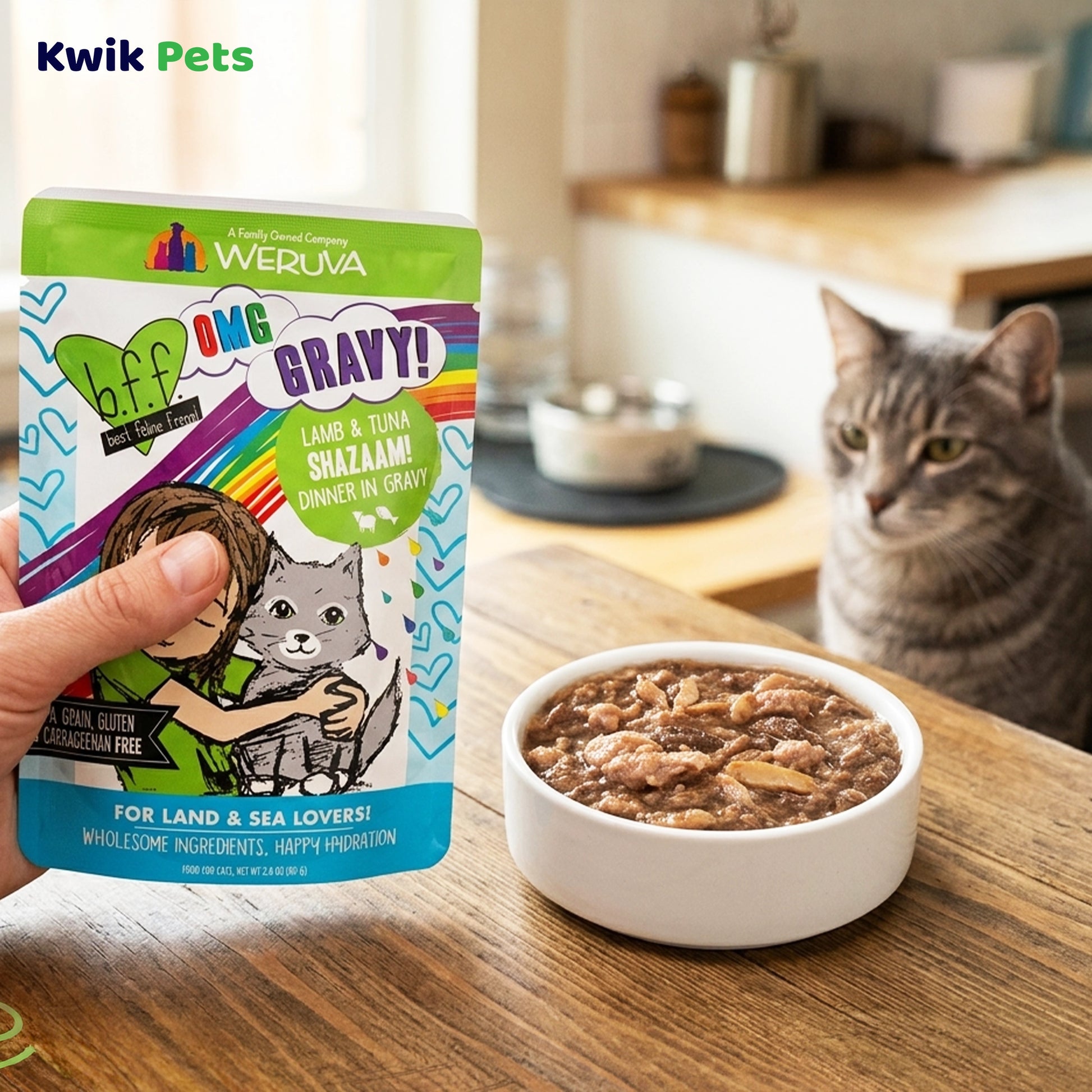 Lifestyle of Weruva B.F.F. OMG Lamb & Tuna Shazaam! Dinner in Gravy Wet Cat Food Pouches 2.8-oz