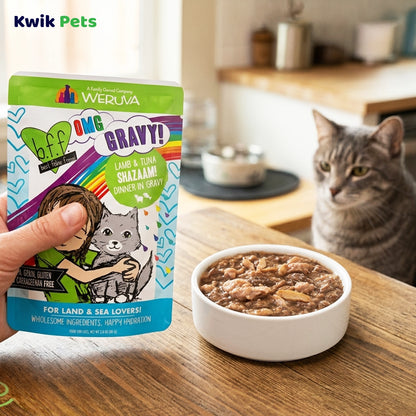 Lifestyle of Weruva B.F.F. OMG Lamb & Tuna Shazaam! Dinner in Gravy Wet Cat Food Pouches 2.8-oz