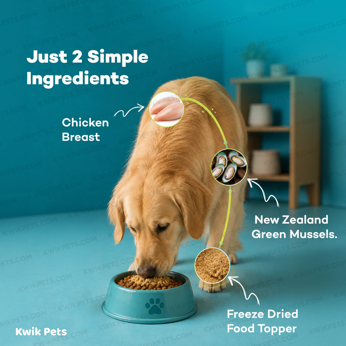 Ingredients info of Northwest Naturals Functional Freeze Dried Dog & Cat Food Topper Chicken Breast with Green Mussels 5-oz