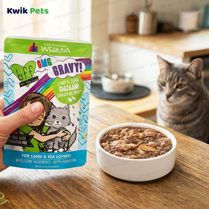 Lifestyle of Weruva B.F.F. OMG Lamb & Tuna Shazaam! Dinner in Gravy Wet Cat Food Pouches 2.8-oz