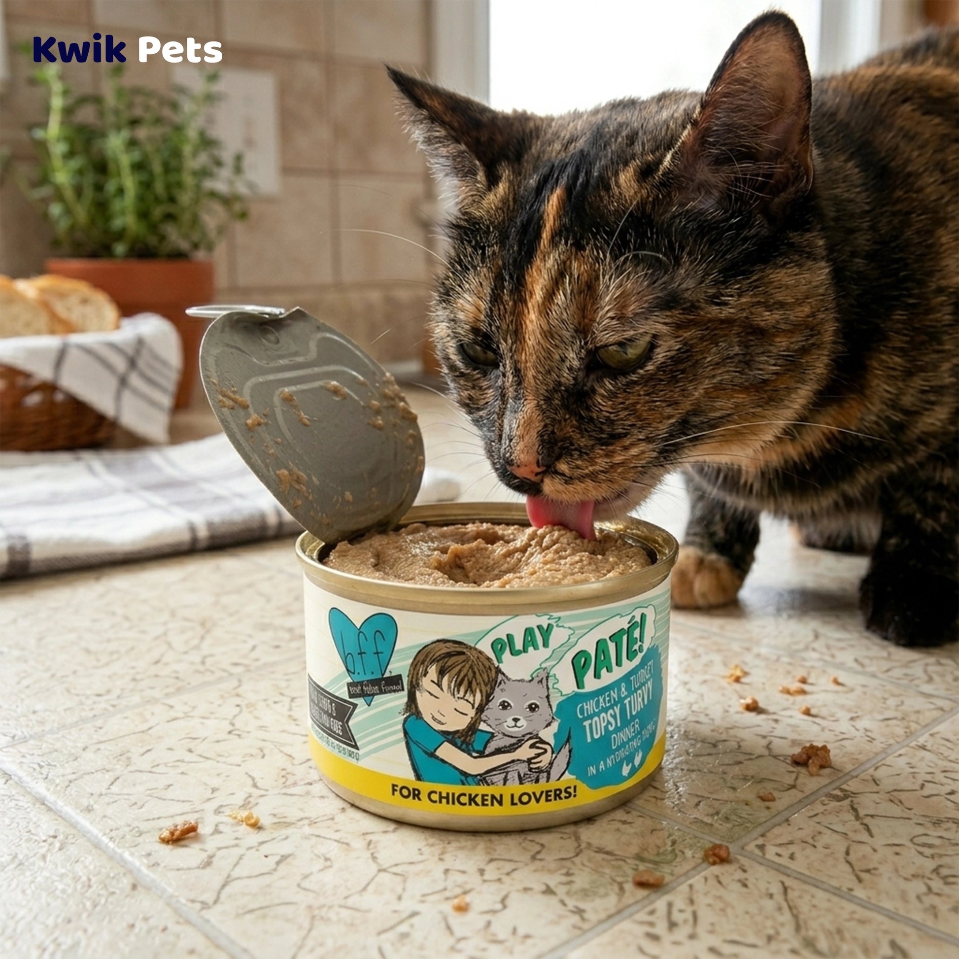 Lifestyle of Weruva B.F.F. PLAY Paté Chicken & Turkey Topsy Turvy Dinner in a Hydrating Purée Wet Cat Food 2.8-oz