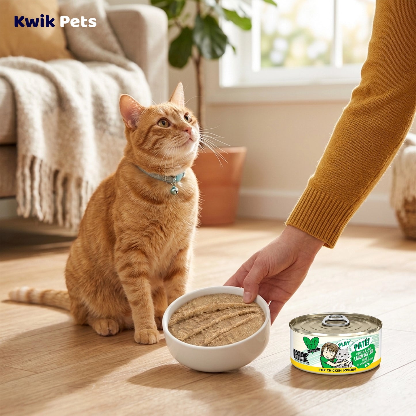 Lifestyle of Weruva B.F.F. PLAY Paté Chicken & Lamb Laugh Out Loud Dinner in a Hydrating Purée Wet Cat Food 5.5-oz