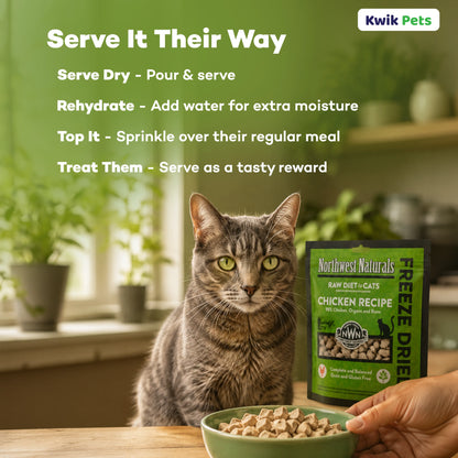 Feeding of Northwest Naturals Freeze Dried Raw Diet Cat Food Chicken Recipe 11-oz