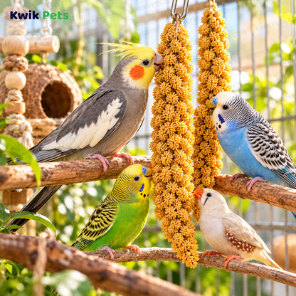 Lifestyle of Kaytee Natural Spray Millet Bird Treats 2 Pack