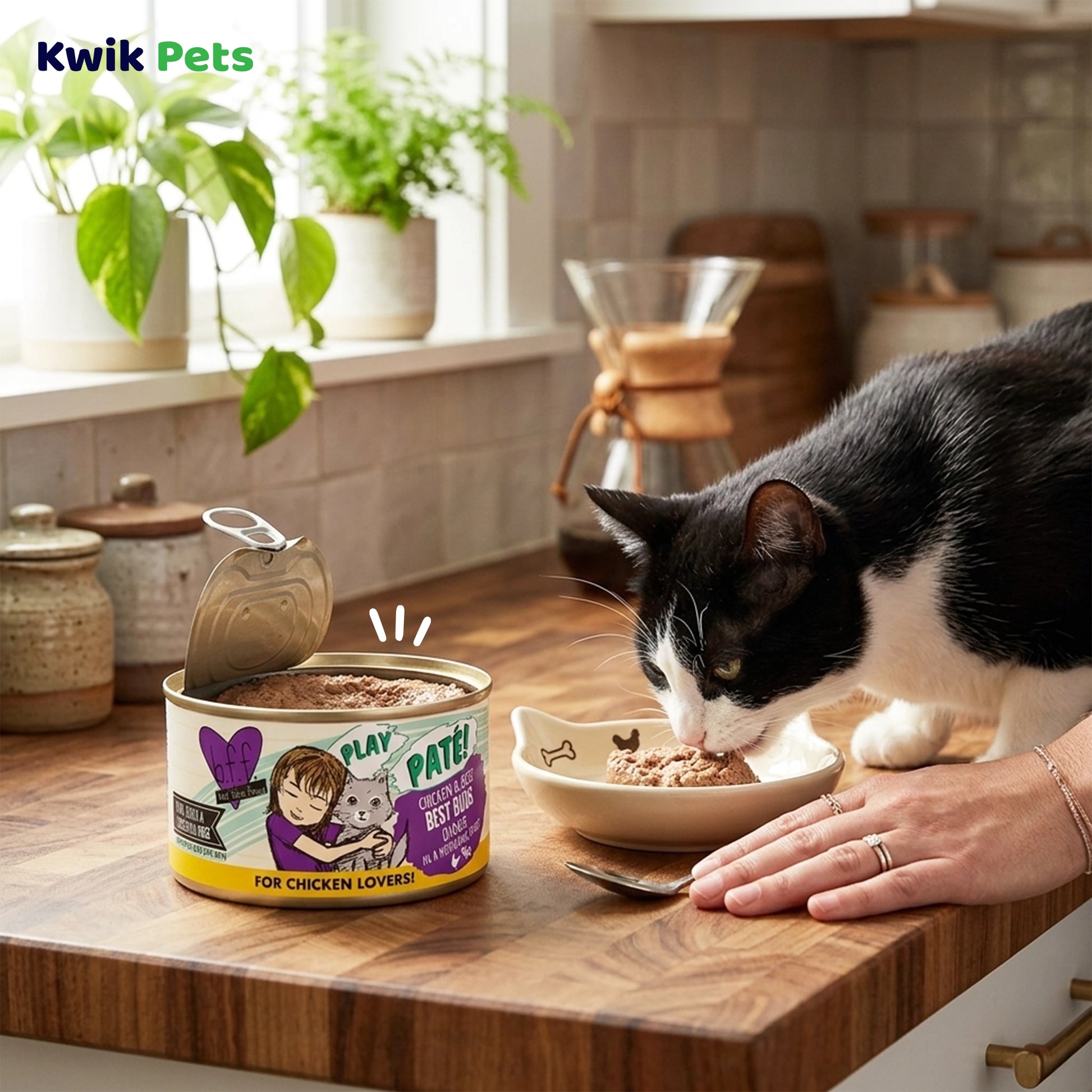 Lifestyle of Weruva B.F.F. PLAY Paté Chicken & Beef Best Buds Dinner in a Hydrating Purée Wet Cat Food 2.8-oz
