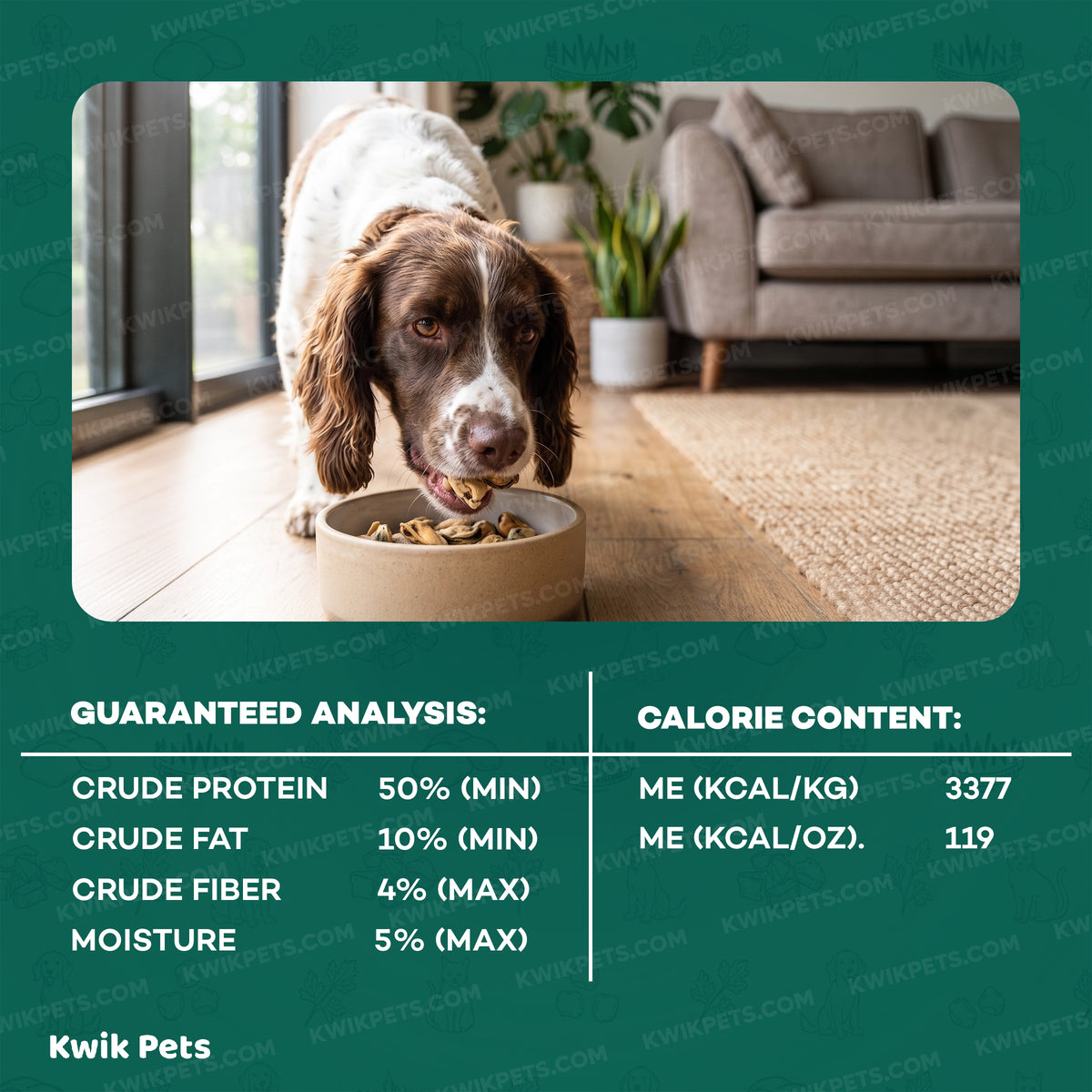 Nutrition of Northwest Naturals Raw Rewards Freeze Dried Dog & Cat Treats Green Mussels 2-oz