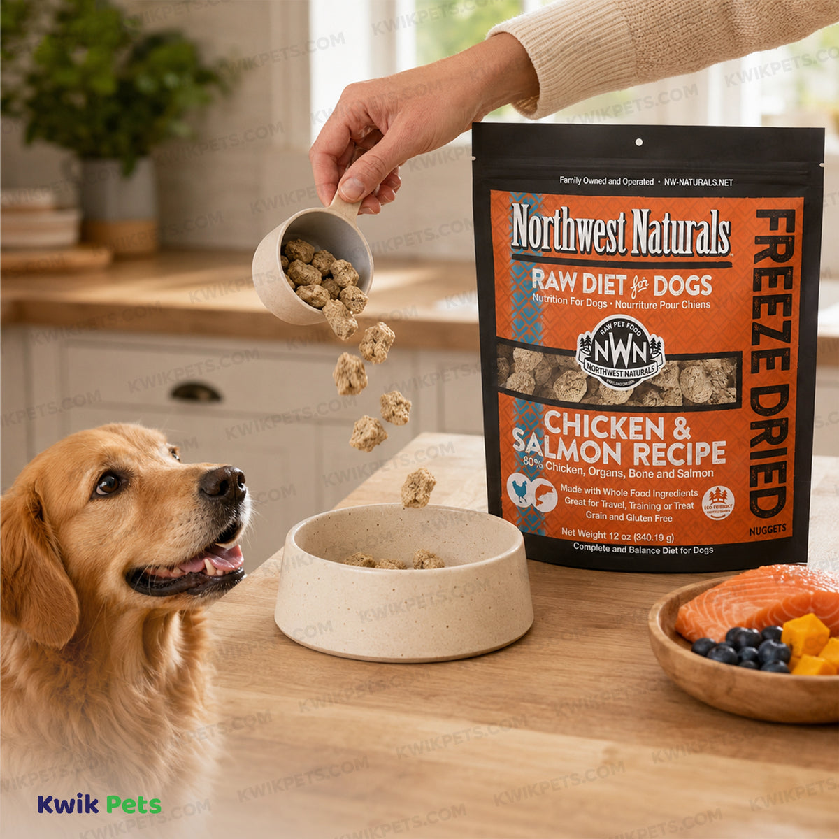 Lifestyle of Northwest Naturals Freeze Dried Raw Diet Dog Food Chicken & Salmon Recipe 12-oz