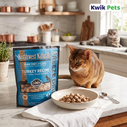 Lifestyle of Northwest Naturals Freeze Dried Raw Diet Cat Food Turkey Recipe 11-oz
