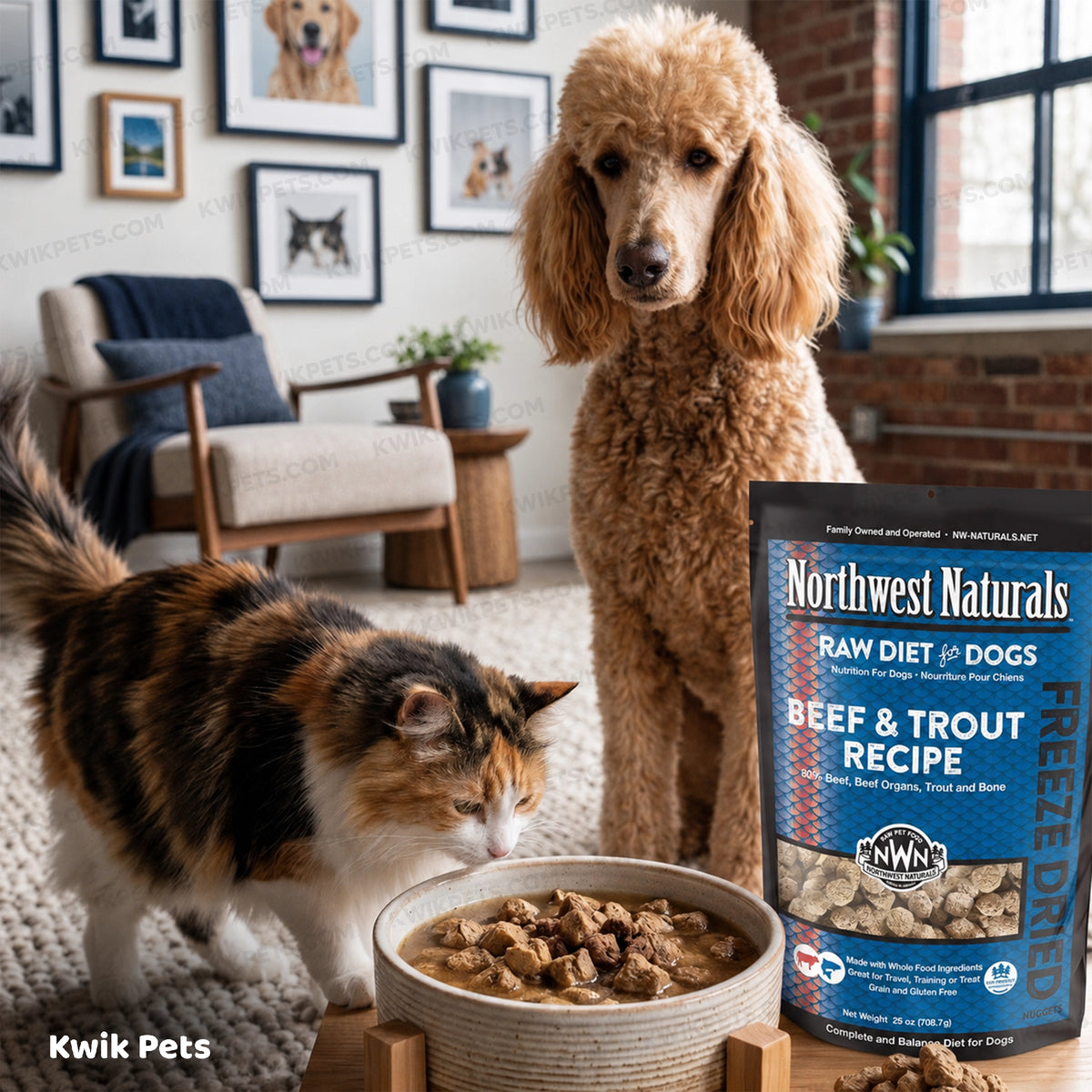Lifestyle of Northwest Naturals Freeze Dried Raw Diet Dog Food Beef & Trout Recipe 25-oz