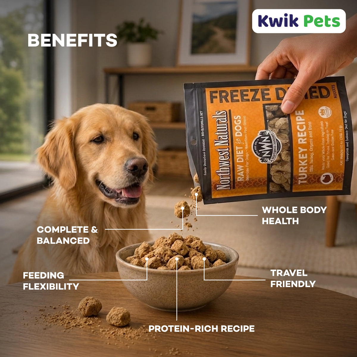Benefits of Northwest Naturals Freeze Dried Raw Diet Dog Food Turkey Recipe 25-oz