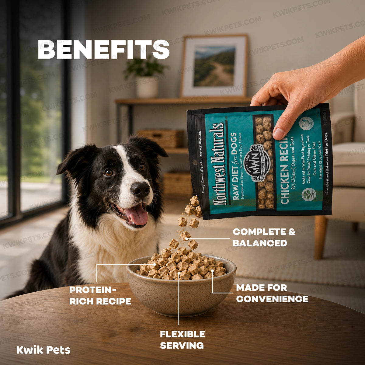 Benefits of Northwest Naturals Freeze Dried Raw Diet Dog Food Chicken Recipe 12-oz