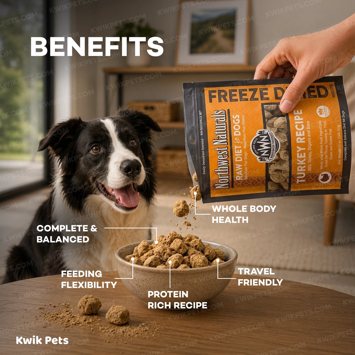 Benefits of Northwest Naturals Freeze Dried Raw Diet Dog Food Turkey Recipe 12-oz