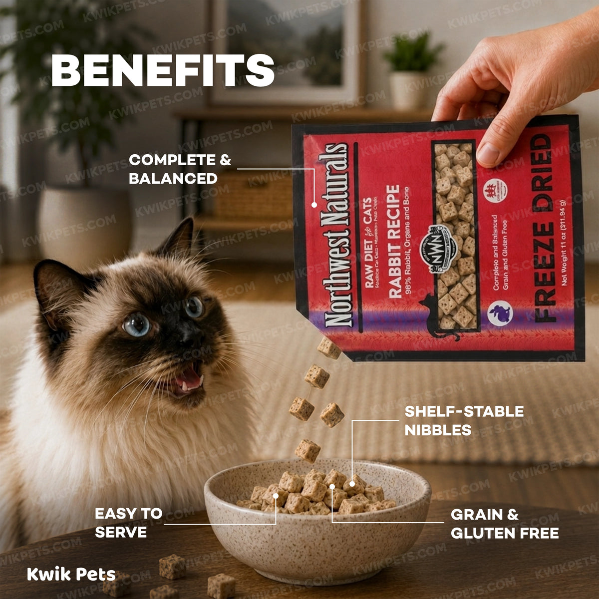 Benefits of Northwest Naturals Freeze Dried Raw Diet Cat Food Rabbit Recipe 11-oz