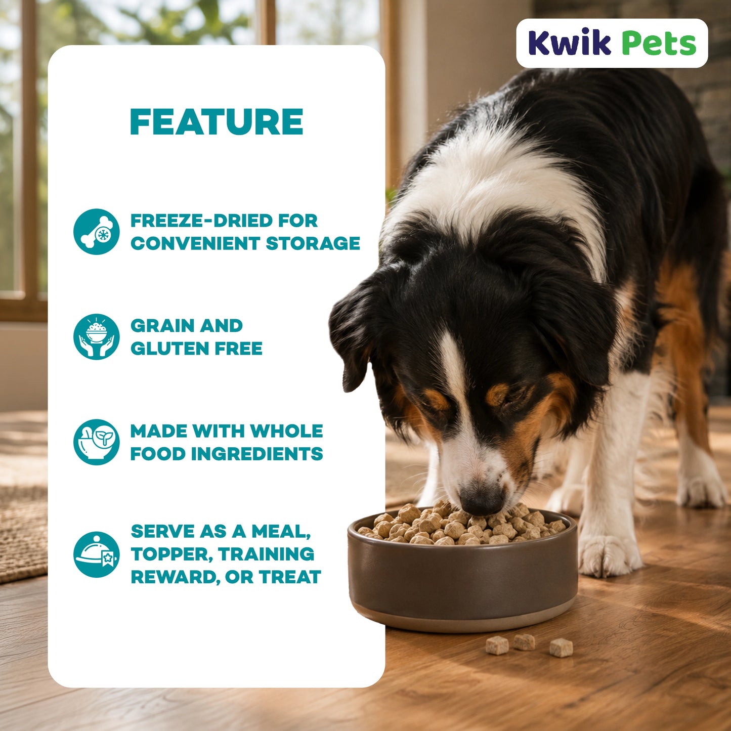 Features of Northwest Naturals Freeze Dried Raw Diet Dog Food Chicken Recipe 12-oz