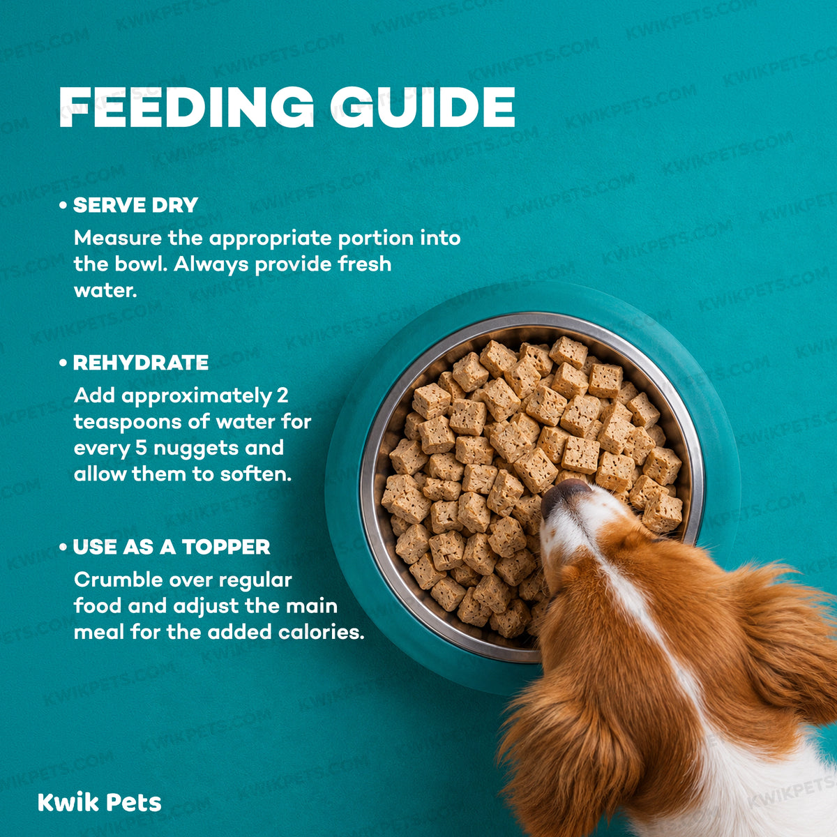 Feeding Guide Lines of Northwest Naturals Freeze Dried Raw Diet Dog Food Chicken Recipe 12-oz