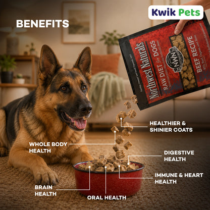 Benefits of Northwest Naturals Freeze Dried Raw Diet Dog Food Beef Recipe 12-oz