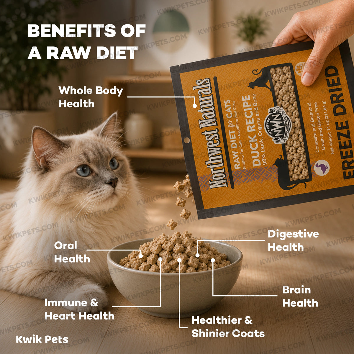 Benefits of Northwest Naturals Freeze Dried Raw Diet Cat Food Duck Recipe 11-oz