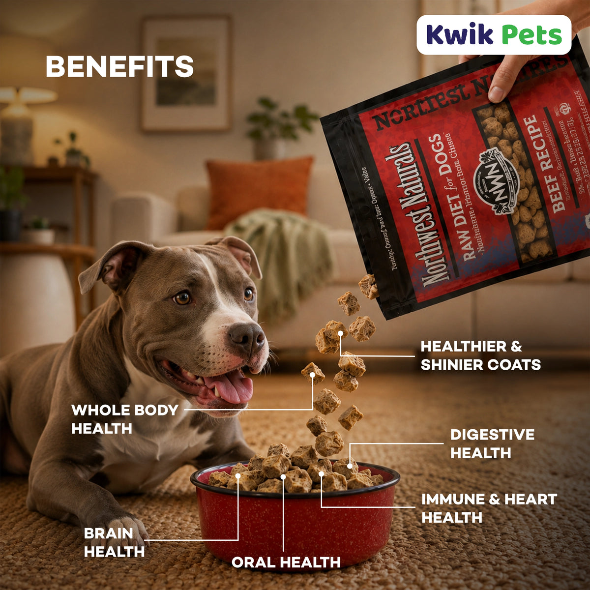 Benefits of Northwest Naturals Freeze Dried Raw Diet Dog Food Beef Recipe 25-oz