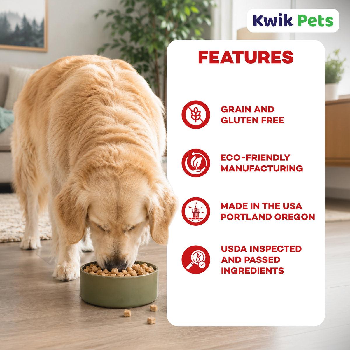 Features of Northwest Naturals Freeze Dried Raw Diet Dog Food Beef Recipe 12-oz