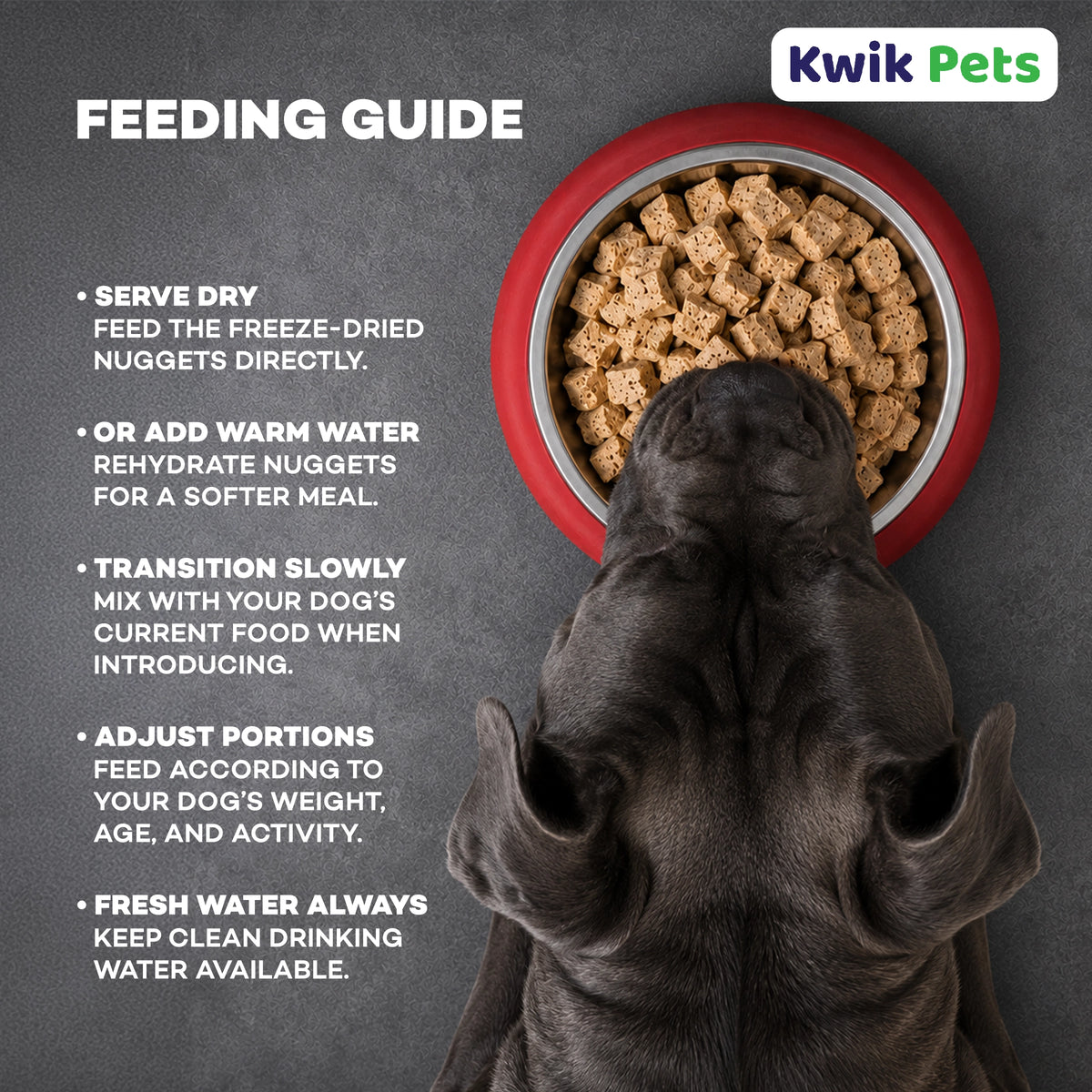 Feeding Guidelines of Northwest Naturals Freeze Dried Raw Diet Dog Food Beef Recipe 25-oz