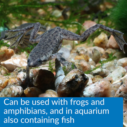 Info of API Turtle Fix Antibacterial Turtle Remedy 8-oz