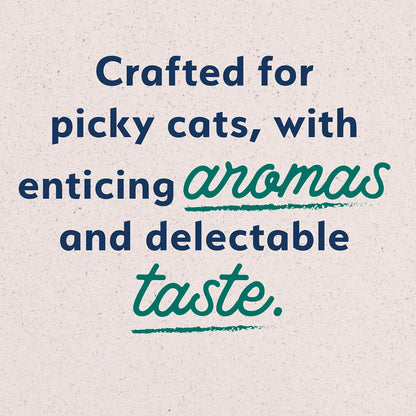 Product info 1 of Natural Balance Pet Foods Original Ultra Indoor Canned Cat Food Chicken Formula 5.5-oz