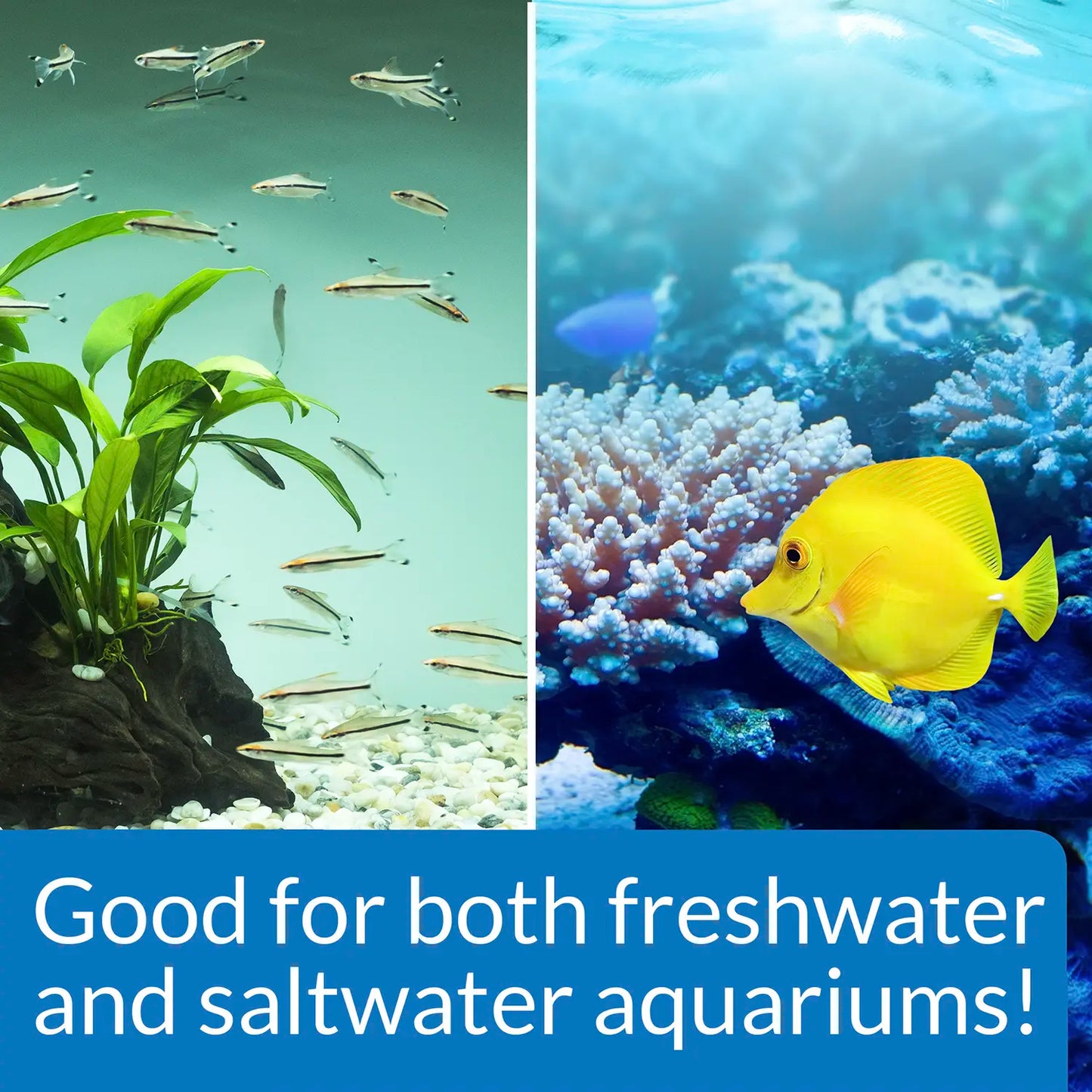 Info 2 of API Stress Zyme Freshwater & Saltwater Aquarium Water Cleaner 4-oz