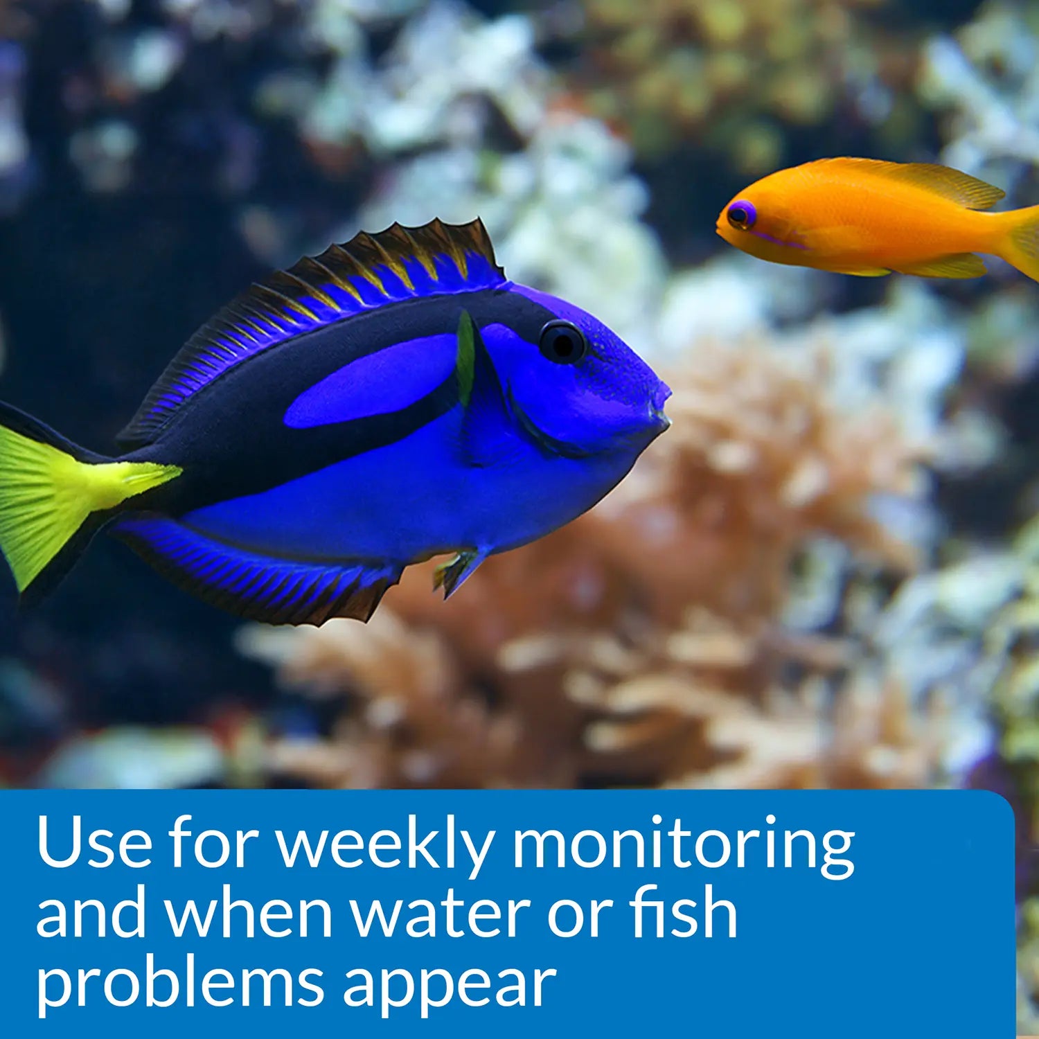 Info of API Saltwater Aquarium Master Test Kit