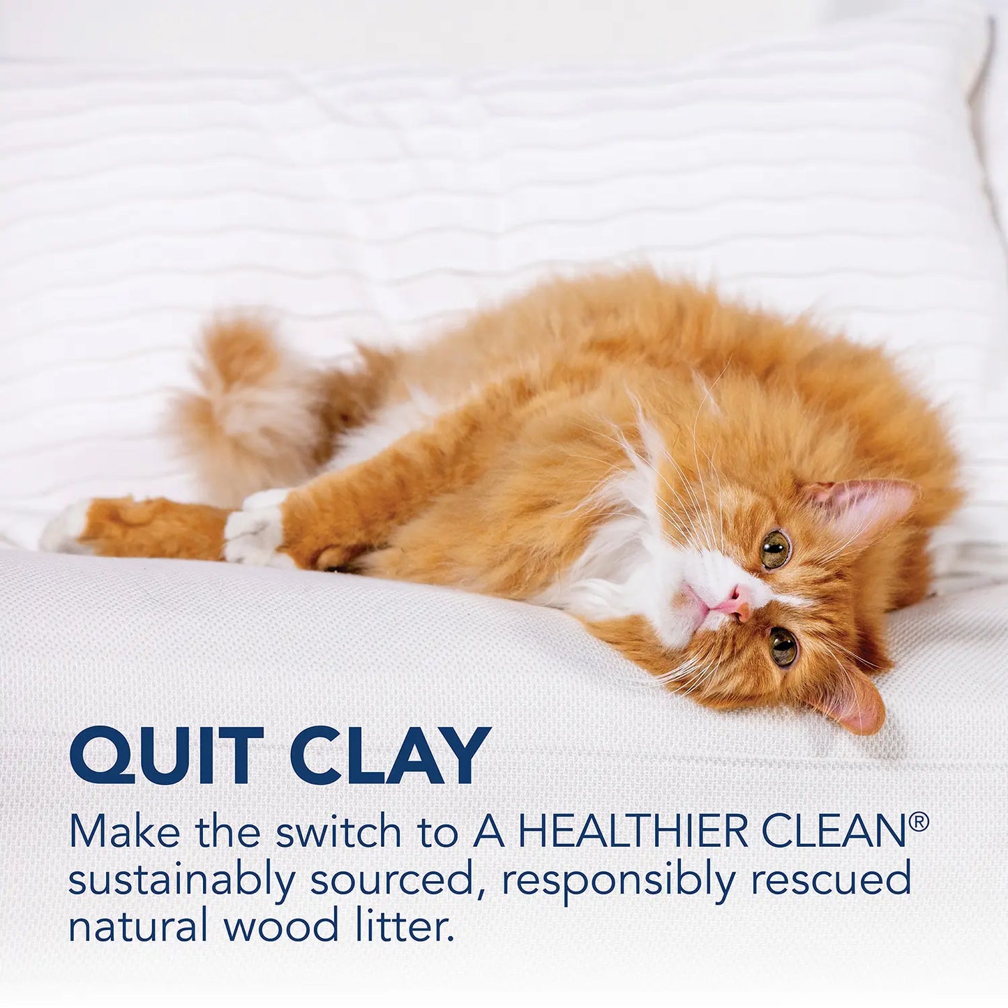Product info of Okocat Low Tracking Clumping Mini Pellets Wood Cat Litter 10-lb