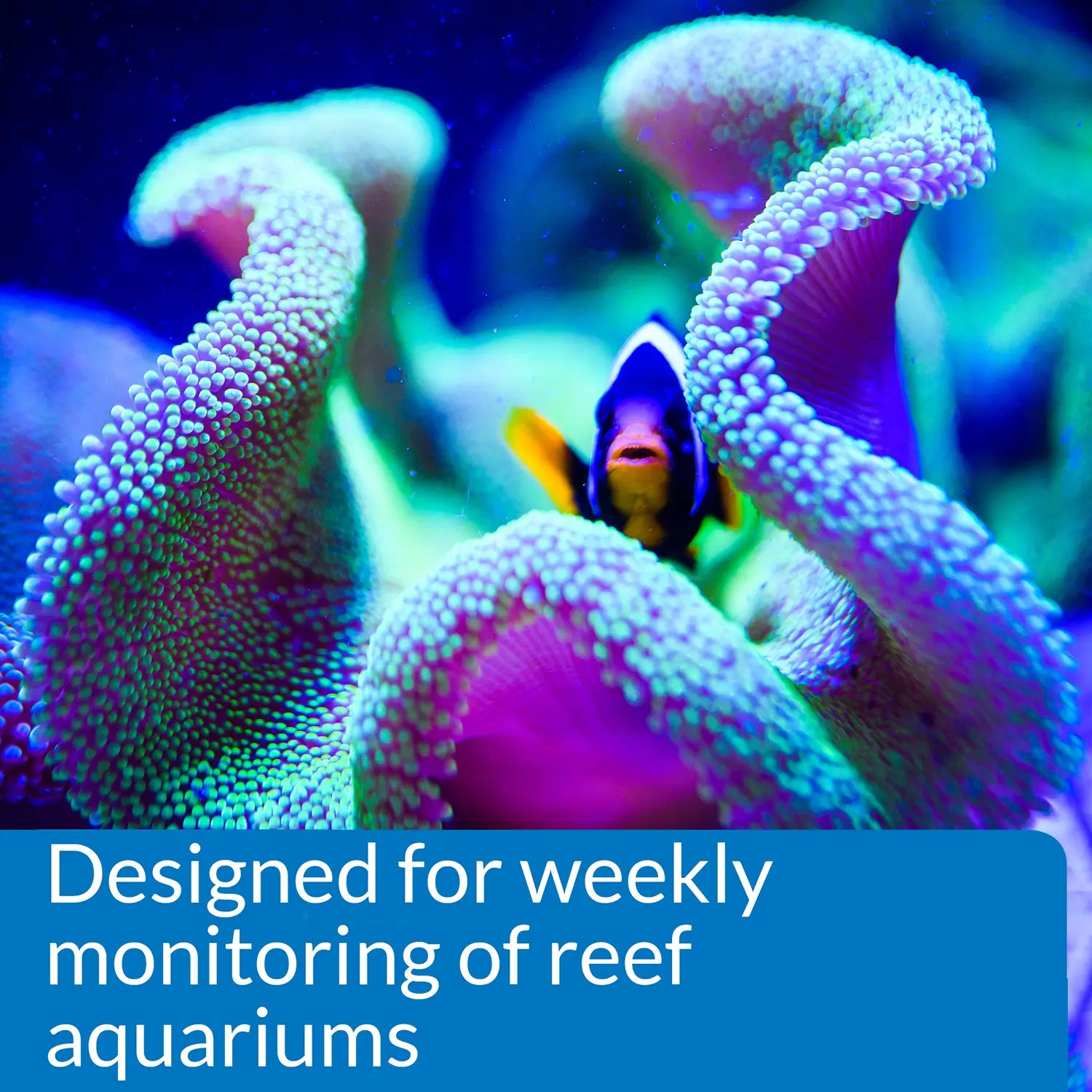 Info of API Reef Aquarium Master Test Kit