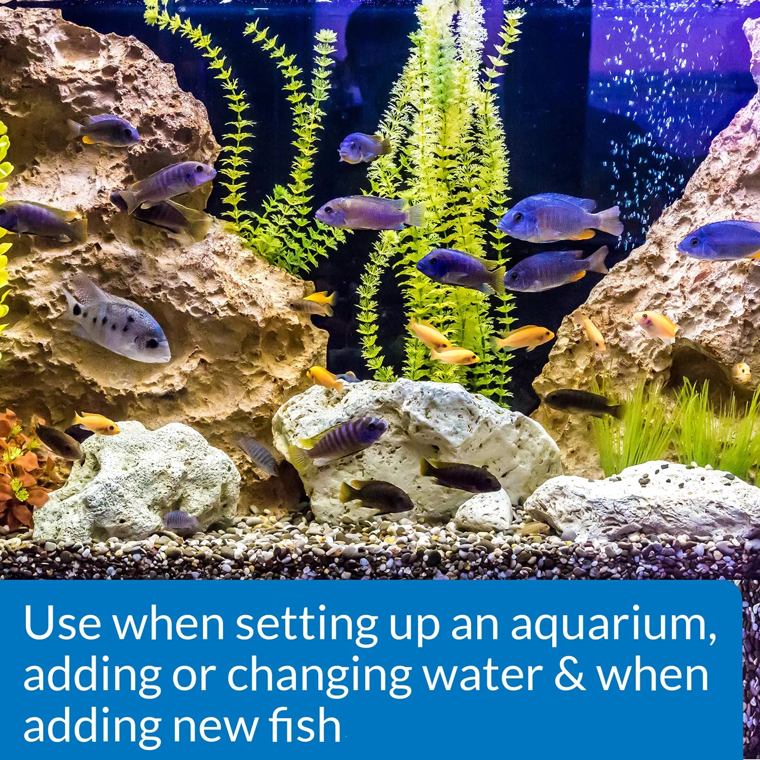 Info of API Quick Start Aquarium Water Conditioner 8-oz