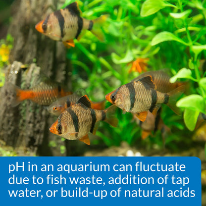 API pH Test & Adjuster Kit for Freshwater Aquarium, Kwik Pets