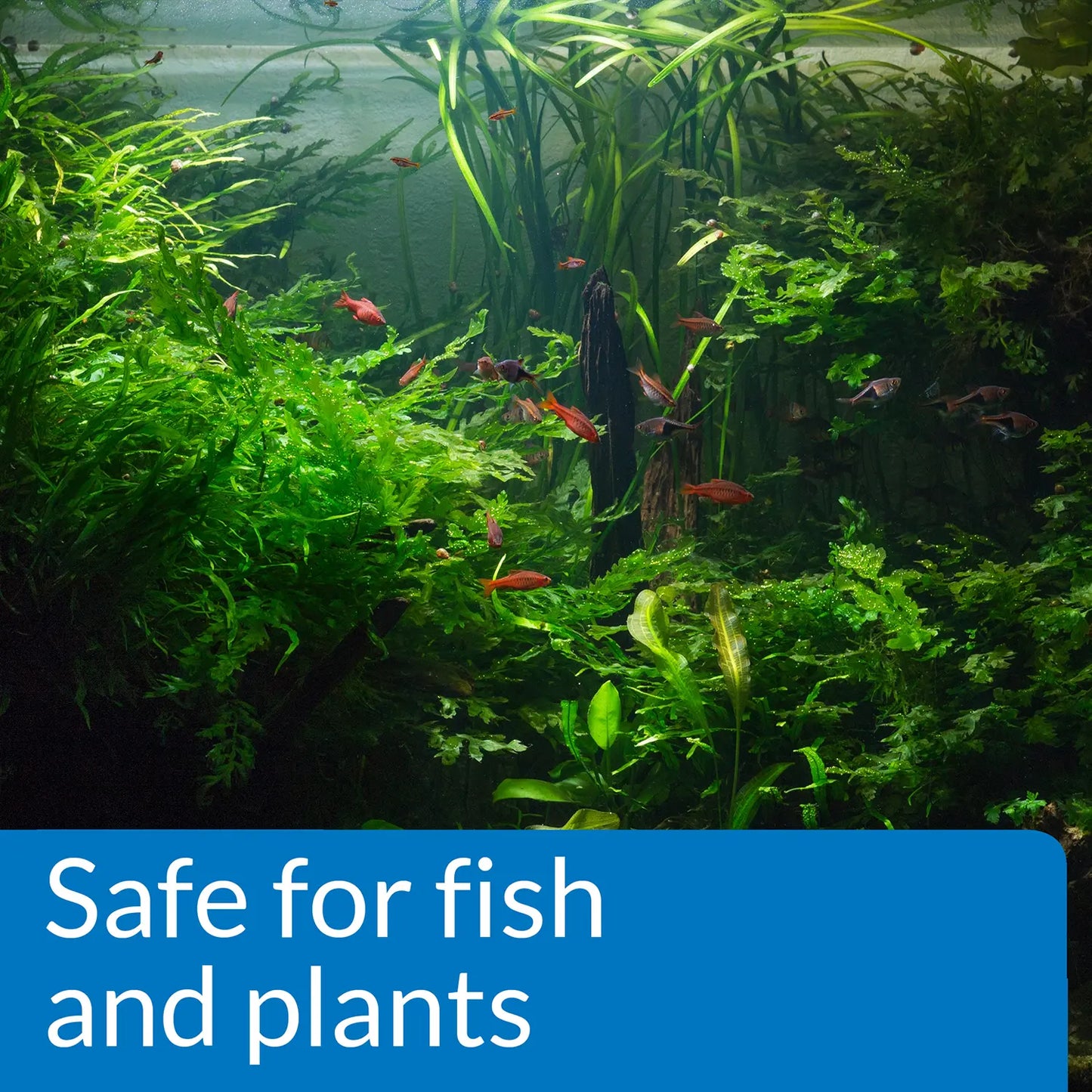 Info of API pH Up Freshwater Aquarium Water Treatment 4-oz
