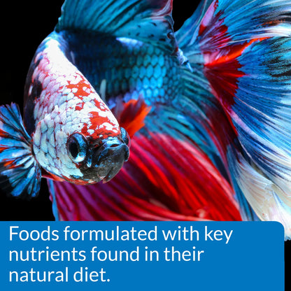 Product info of API Betta Floating Pellets Fish Food 1-oz