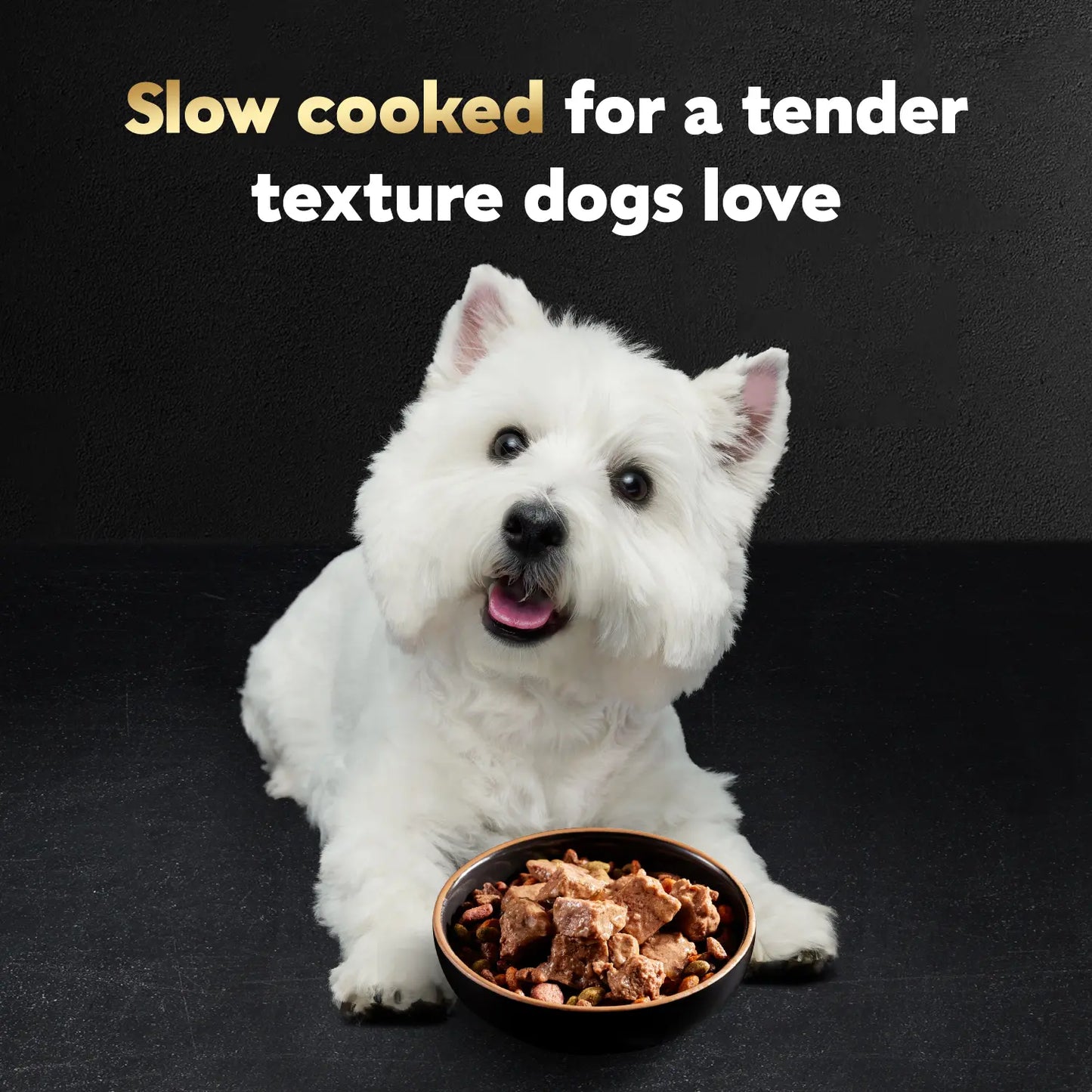 Product info 2 of Cesar Loaf & Topper in Sauce Adult Wet Dog Food Ham & Egg w/Potato & Cheese 3.5-oz
