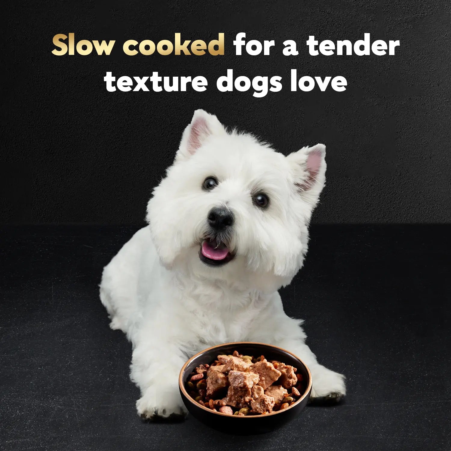 Product info 2 of Cesar Loaf & Topper in Sauce Adult Wet Dog Food Ham & Egg w/Potato & Cheese 3.5-oz