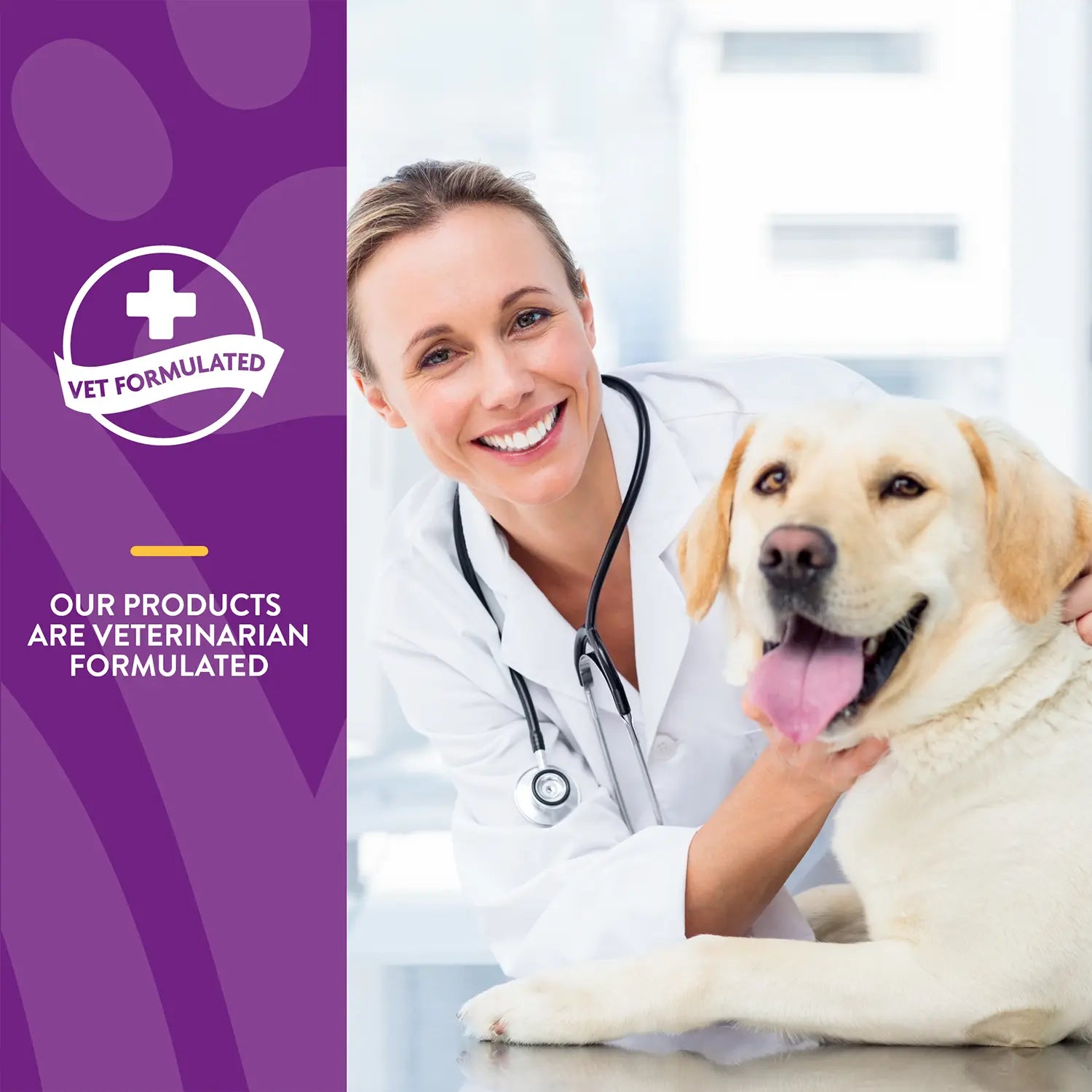 Info of NaturVet VitaPet Senior Daily Vitamins Plus Glucosamine Soft Chews for Dogs 60 Count 6.3-oz
