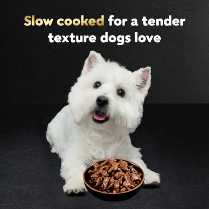 Product info 1 of Cesar Filets in Gravy Adult Wet Dog Food Variety Pack Prime Rib, Filet Mignon, New York Strip 24 Count 3.5-oz